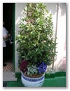pict0095.jpg