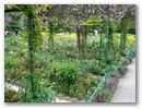 pict0101.jpg