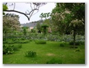 pict0113.jpg