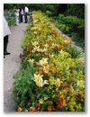 pict0114.jpg