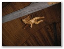 pict0123.jpg