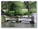 pict0139.jpg