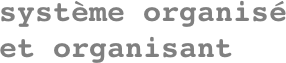 système organisé et organisant