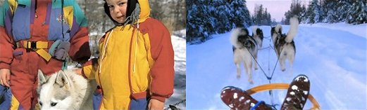 enfant caressant un chien de traineau - paysage de neige traineau pouss par des chiens.